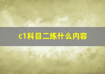 c1科目二练什么内容