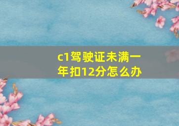 c1驾驶证未满一年扣12分怎么办