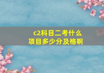 c2科目二考什么项目多少分及格啊