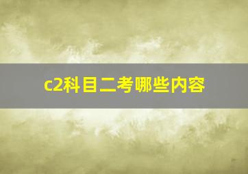 c2科目二考哪些内容