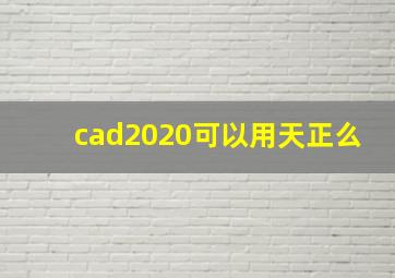 cad2020可以用天正么