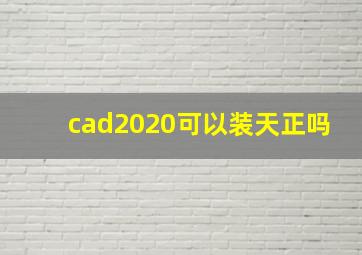 cad2020可以装天正吗