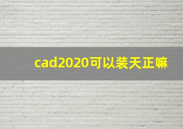 cad2020可以装天正嘛