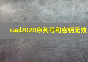 cad2020序列号和密钥无效