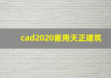 cad2020能用天正建筑