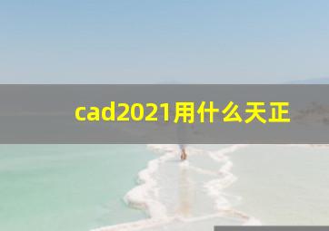 cad2021用什么天正