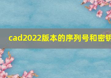 cad2022版本的序列号和密钥