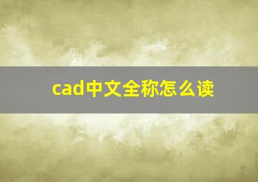 cad中文全称怎么读