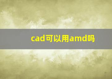 cad可以用amd吗