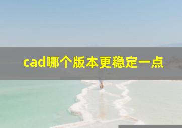 cad哪个版本更稳定一点