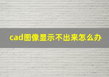 cad图像显示不出来怎么办