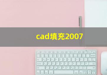 cad填充2007