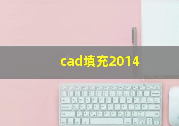 cad填充2014