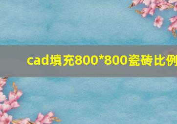 cad填充800*800瓷砖比例