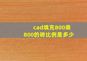 cad填充800乘800的砖比例是多少