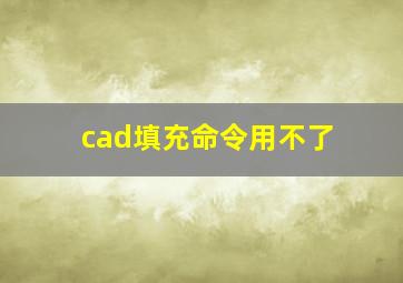 cad填充命令用不了