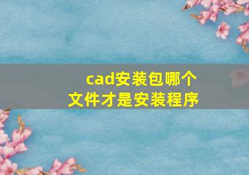 cad安装包哪个文件才是安装程序