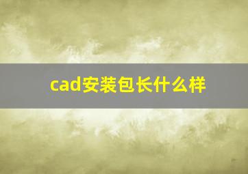 cad安装包长什么样