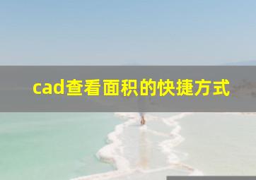 cad查看面积的快捷方式