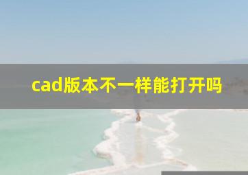 cad版本不一样能打开吗