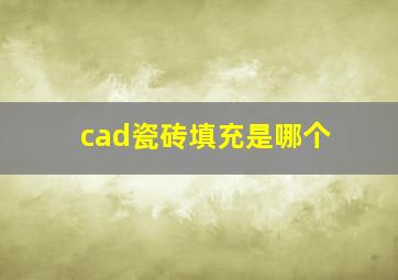 cad瓷砖填充是哪个