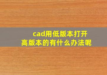 cad用低版本打开高版本的有什么办法呢