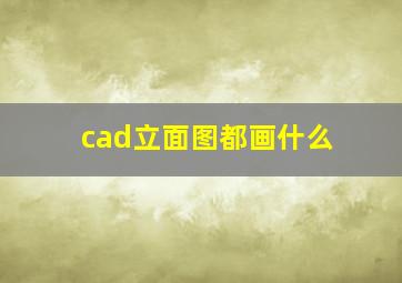 cad立面图都画什么