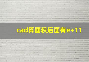 cad算面积后面有e+11