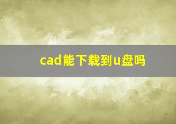 cad能下载到u盘吗