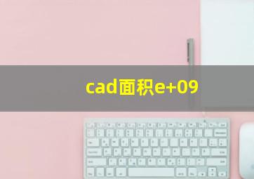 cad面积e+09