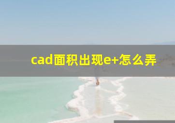 cad面积出现e+怎么弄