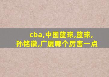 cba,中国篮球,篮球,孙铭徽,广厦哪个厉害一点