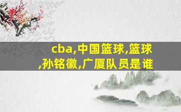 cba,中国篮球,篮球,孙铭徽,广厦队员是谁