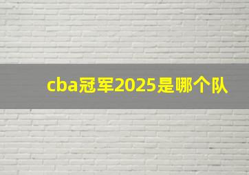 cba冠军2025是哪个队