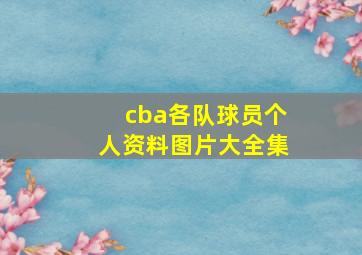 cba各队球员个人资料图片大全集