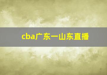 cba广东一山东直播