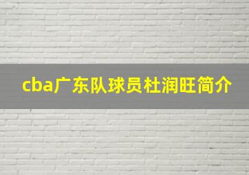 cba广东队球员杜润旺简介