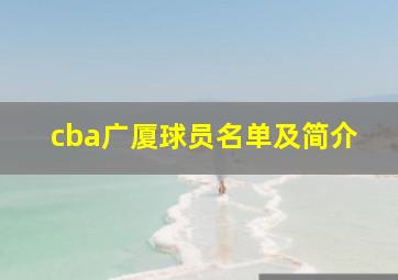 cba广厦球员名单及简介