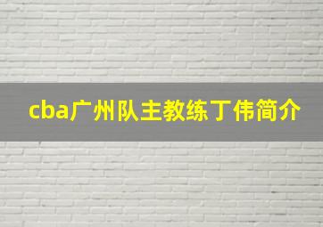 cba广州队主教练丁伟简介