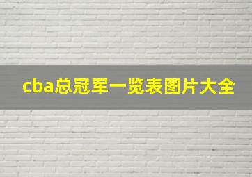 cba总冠军一览表图片大全