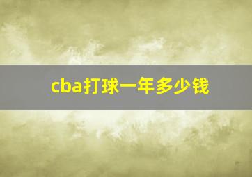 cba打球一年多少钱