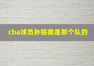 cba球员孙铭徽是那个队的