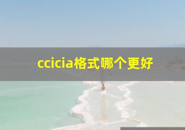 ccicia格式哪个更好