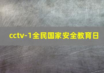 cctv-1全民国家安全教育日