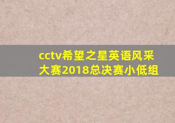 cctv希望之星英语风采大赛2018总决赛小低组