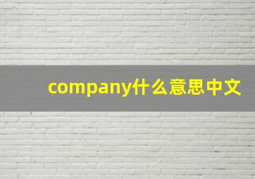 company什么意思中文