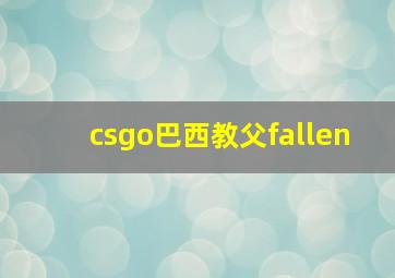 csgo巴西教父fallen