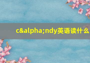 cαndy英语读什么