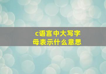 c语言中大写字母表示什么意思