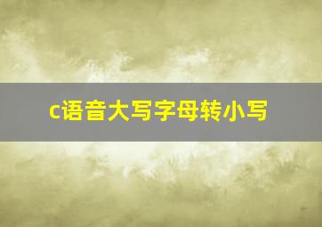 c语音大写字母转小写